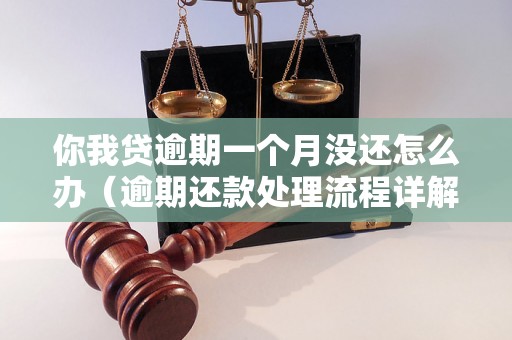 你我贷逾期一个月没还怎么办（逾期还款处理流程详解）