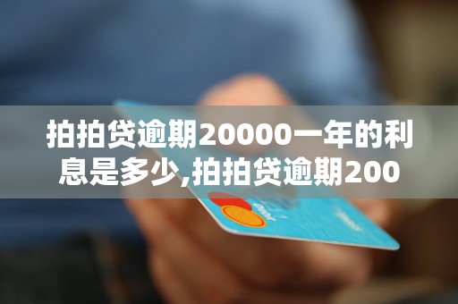 拍拍贷逾期20000一年的利息是多少,拍拍贷逾期20000需要还多少钱