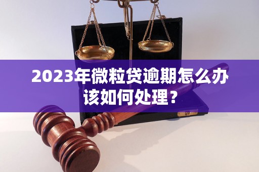 2023年微粒贷逾期怎么办该如何处理？