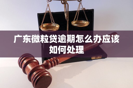 广东微粒贷逾期怎么办应该如何处理