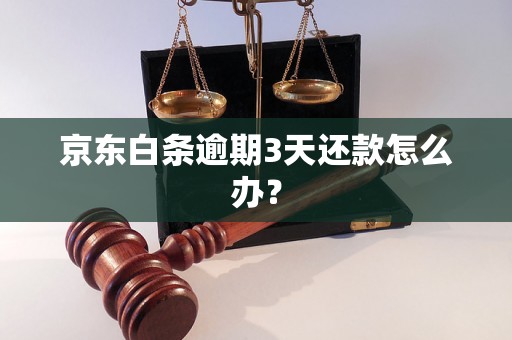 京东白条逾期3天还款怎么办？