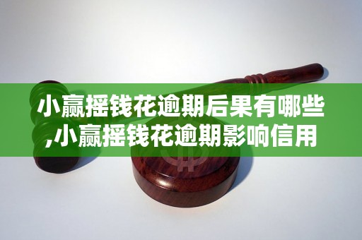 小赢摇钱花逾期后果有哪些,小赢摇钱花逾期影响信用吗