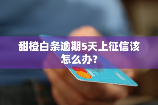 甜橙白条逾期5天上征信该怎么办？