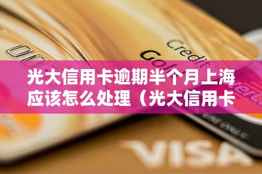 光大信用卡逾期半个月上海应该怎么处理（光大信用卡逾期处理方法详解）