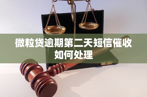 微粒贷逾期第二天短信催收如何处理