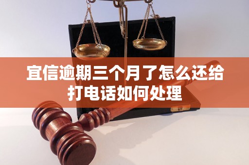 宜信逾期三个月了怎么还给打电话如何处理