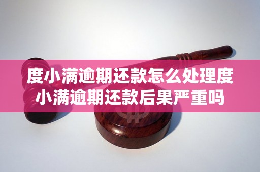 度小满逾期还款怎么处理度小满逾期还款后果严重吗