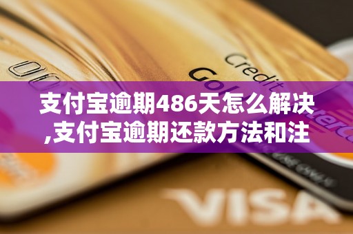 支付宝逾期486天怎么解决,支付宝逾期还款方法和注意事项