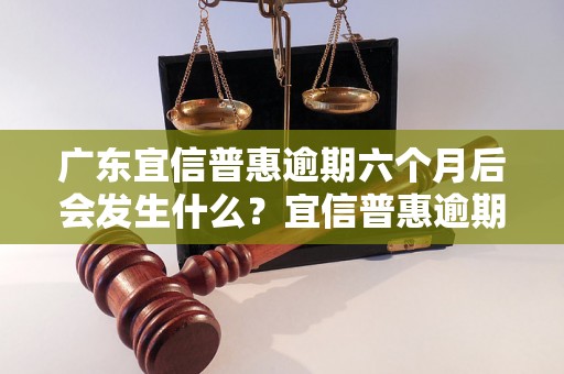 广东宜信普惠逾期六个月后会发生什么？宜信普惠逾期六个月的后果及处理方法