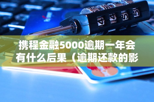 携程金融5000逾期一年会有什么后果（逾期还款的影响及解决办法）