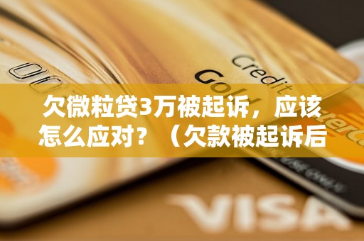 欠微粒贷3万被起诉，应该怎么应对？（欠款被起诉后如何处理）