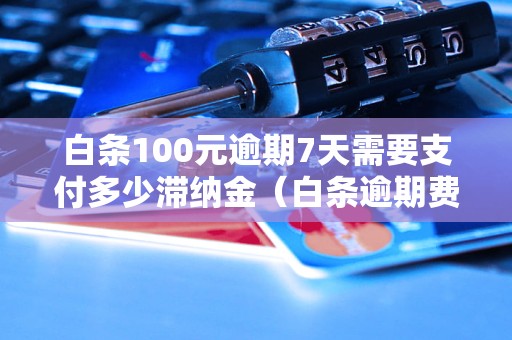 白条100元逾期7天需要支付多少滞纳金（白条逾期费用计算公式） - 副本