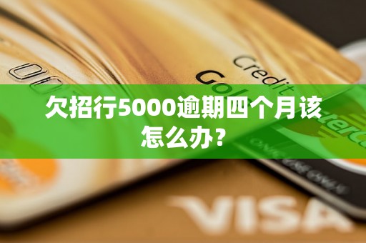 欠招行5000逾期四个月该怎么办？