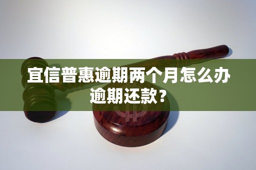 宜信普惠逾期两个月怎么办逾期还款？