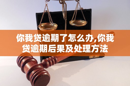 你我贷逾期了怎么办,你我贷逾期后果及处理方法