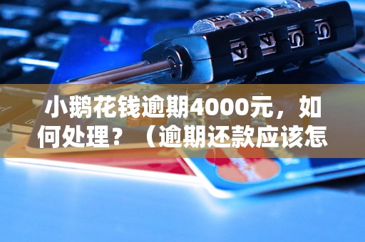 小鹅花钱逾期4000元，如何处理？（逾期还款应该怎么办）