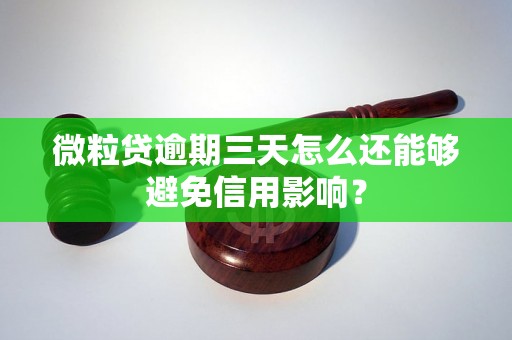 微粒贷逾期三天怎么还能够避免信用影响？