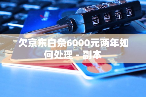 欠京东白条6000元两年如何处理 - 副本