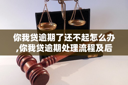 你我贷逾期了还不起怎么办,你我贷逾期处理流程及后果分析