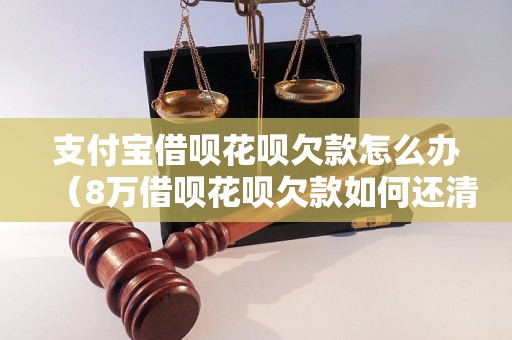 支付宝借呗花呗欠款怎么办（8万借呗花呗欠款如何还清）