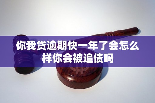 你我贷逾期快一年了会怎么样你会被追债吗