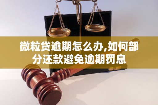 微粒贷逾期怎么办,如何部分还款避免逾期罚息