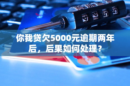 你我贷欠5000元逾期两年后，后果如何处理？