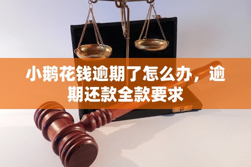 小鹅花钱逾期了怎么办，逾期还款全款要求