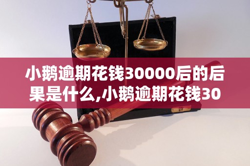 小鹅逾期花钱30000后的后果是什么,小鹅逾期花钱30000会被怎么处理