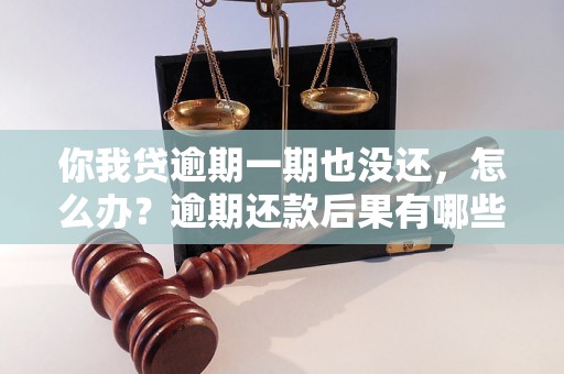 你我贷逾期一期也没还，怎么办？逾期还款后果有哪些？