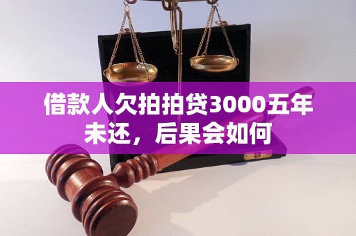 借款人欠拍拍贷3000五年未还，后果会如何