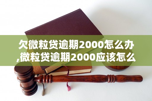 欠微粒贷逾期2000怎么办,微粒贷逾期2000应该怎么处理