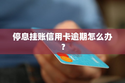 停息挂账信用卡逾期怎么办？