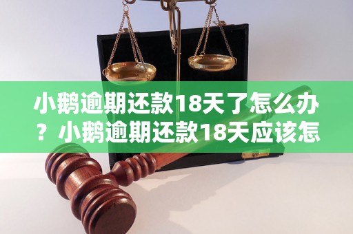 小鹅逾期还款18天了怎么办？小鹅逾期还款18天应该怎么处理？