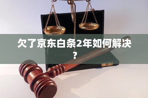 欠了京东白条2年如何解决？