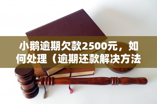 小鹅逾期欠款2500元，如何处理（逾期还款解决方法）