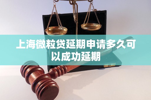 上海微粒贷延期申请多久可以成功延期