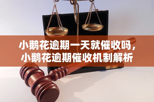 小鹅花逾期一天就催收吗，小鹅花逾期催收机制解析