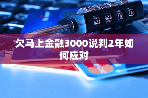 欠马上金融3000说判2年如何应对