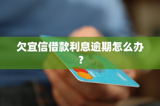 欠宜信借款利息逾期怎么办？