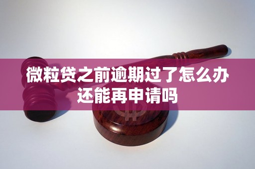 微粒贷之前逾期过了怎么办还能再申请吗