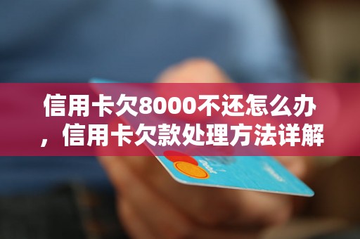 信用卡欠8000不还怎么办，信用卡欠款处理方法详解