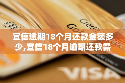 宜信逾期18个月还款金额多少,宜信18个月逾期还款需补偿多少