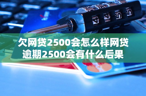 欠网贷2500会怎么样网贷逾期2500会有什么后果