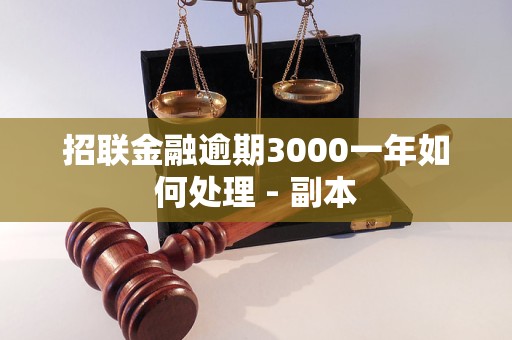 招联金融逾期3000一年如何处理 - 副本