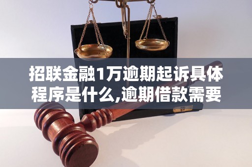 招联金融1万逾期起诉具体程序是什么,逾期借款需要承担什么后果