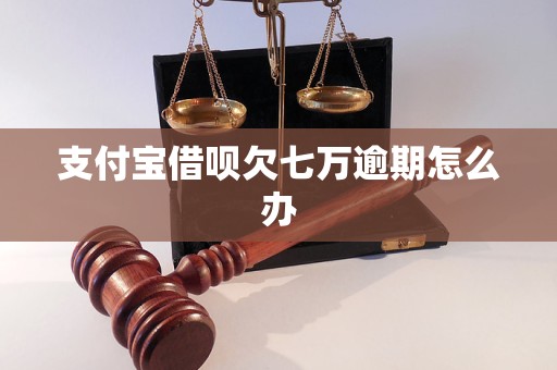 支付宝借呗欠七万逾期怎么办