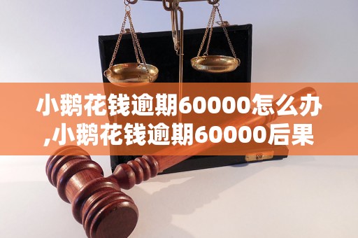 小鹅花钱逾期60000怎么办,小鹅花钱逾期60000后果严重吗