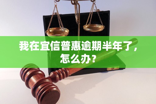 我在宜信普惠逾期半年了，怎么办？