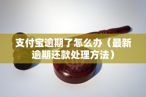 支付宝逾期了怎么办（最新逾期还款处理方法）